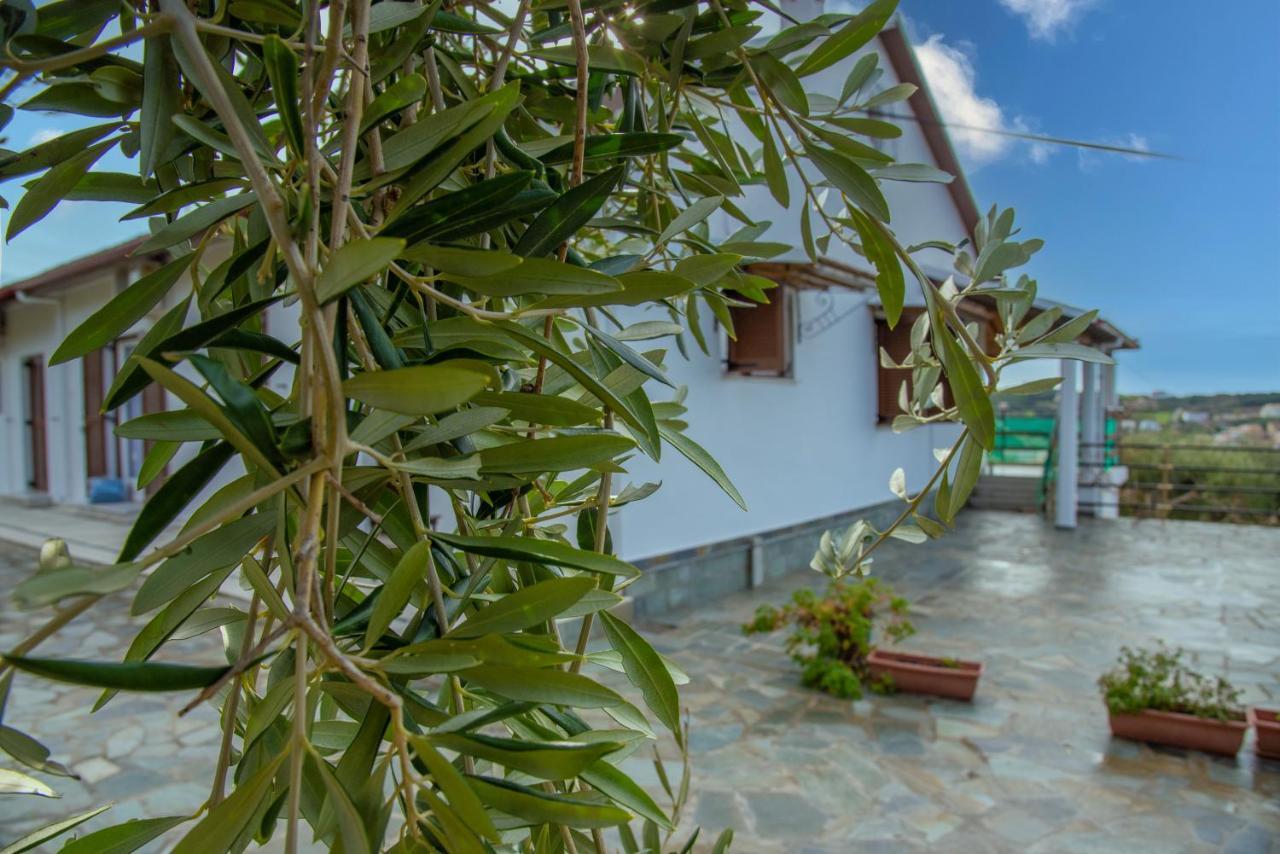 Eleonas Holiday Home Apartment Agios Stefanos Avliotes  Exteriör bild