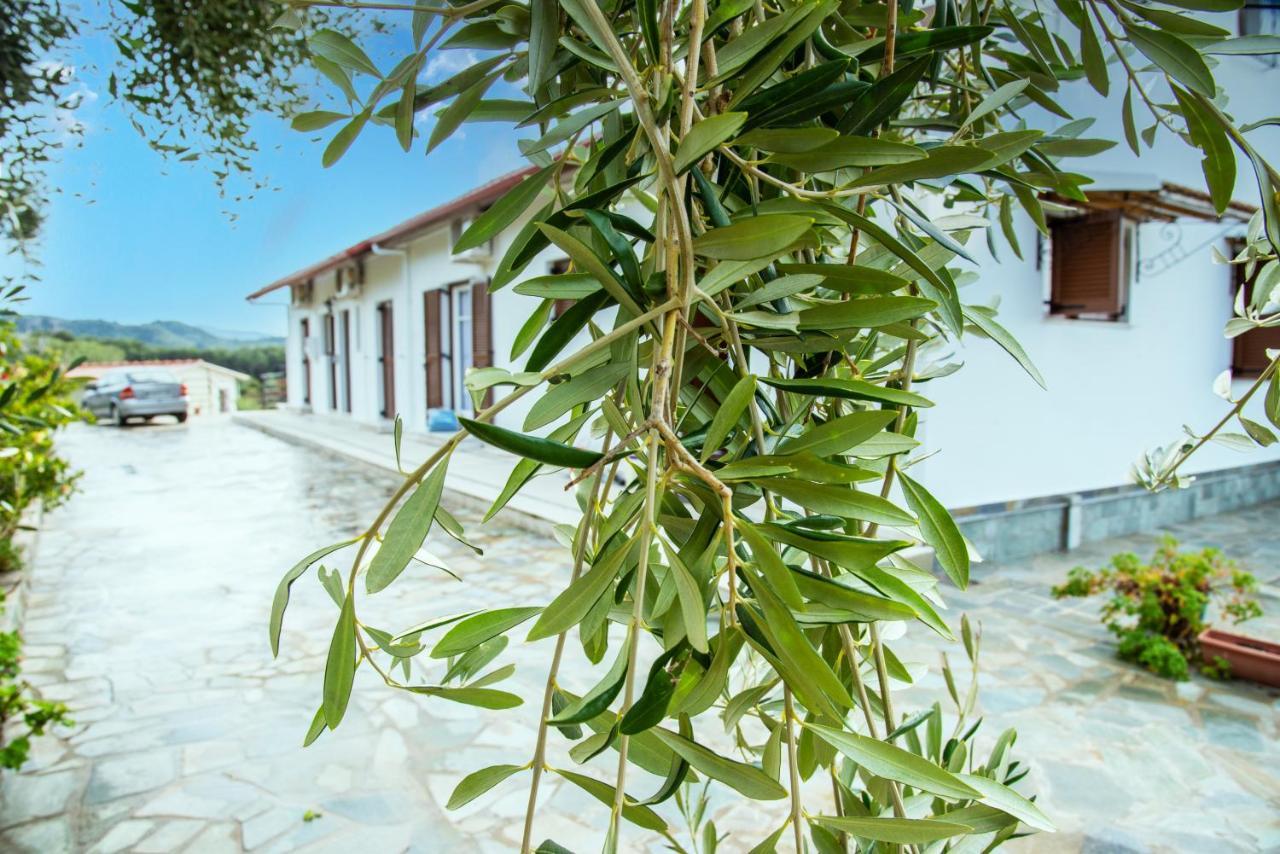 Eleonas Holiday Home Apartment Agios Stefanos Avliotes  Exteriör bild